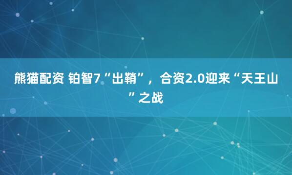 熊猫配资 铂智7“出鞘”，合资2.0迎来“天王山”之战