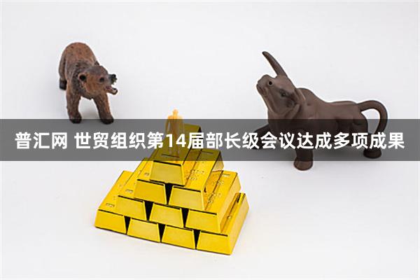 普汇网 世贸组织第14届部长级会议达成多项成果